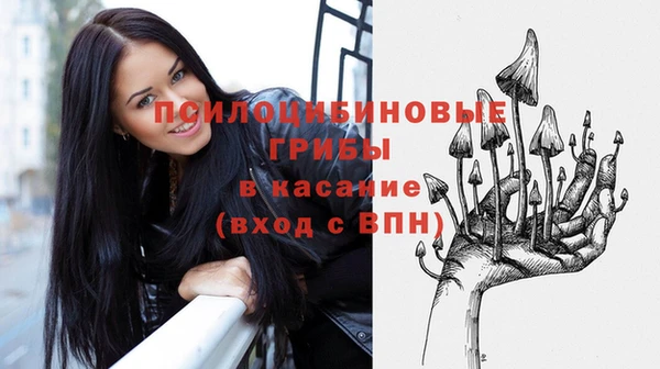 сатива Киренск